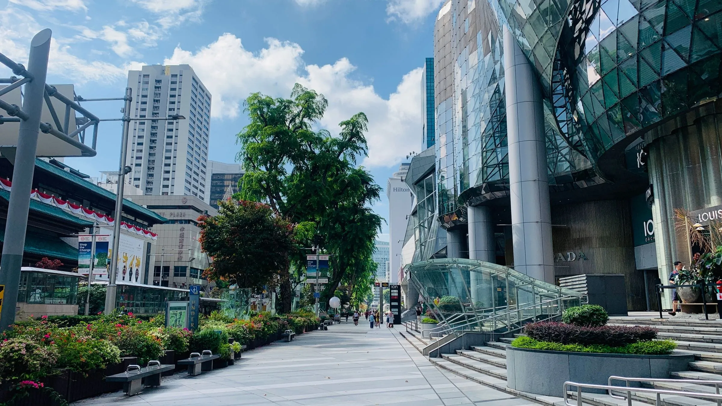 A tree-lined shopping street in Singapore