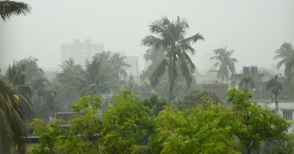 Palm trees bending in heavy wind and rain above rooftops